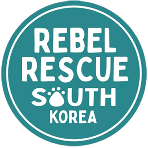 Rebel-Rescue-South-Korea