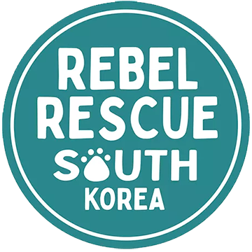 Rebel Rescue South Korea